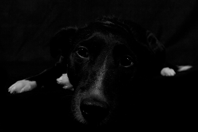 in the dark